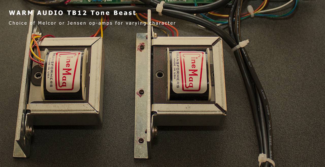 WARM AUDIO TB12 Tone Beast Cinemag