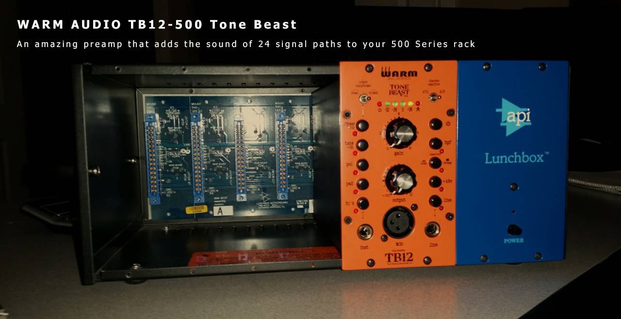 WARM AUDIO TB12-500 Tone Beast Content