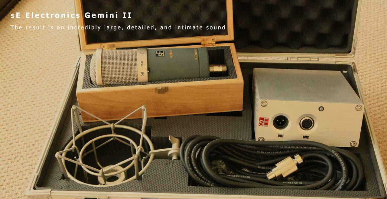 sE Electronics Gemini II More2