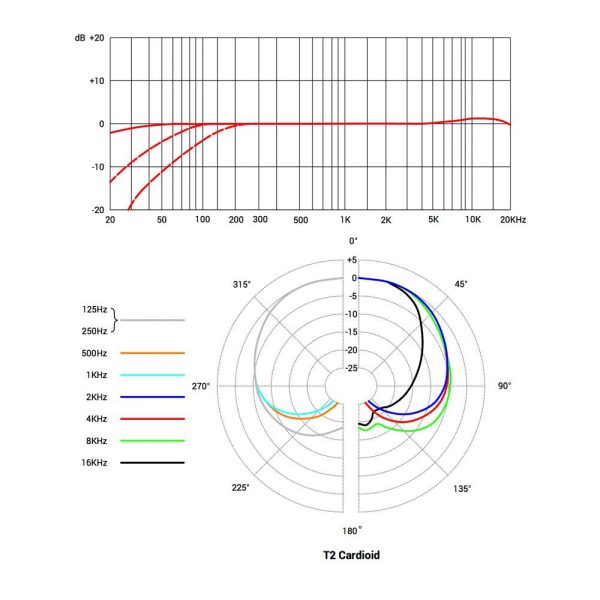 sE Electronics T2 Cardioid