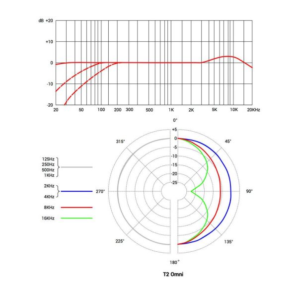 sE Electronics T2 Omni