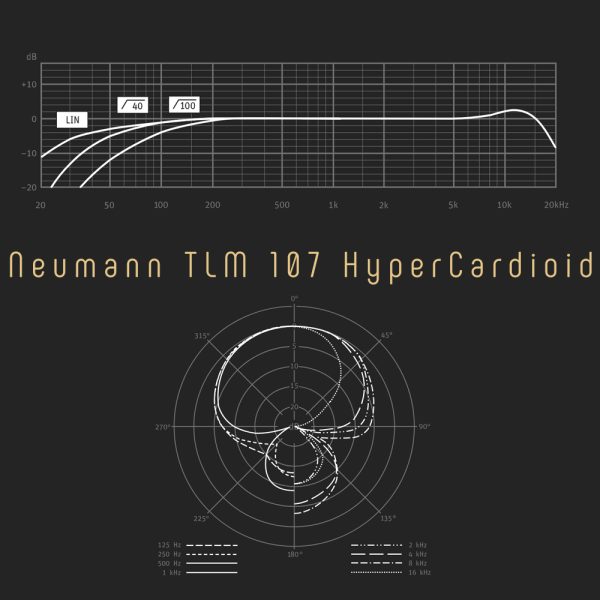 Neumann TLM 107 HyperCardioid Freq