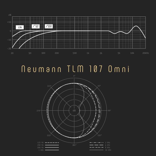 Neumann TLM 107 Omni Freq