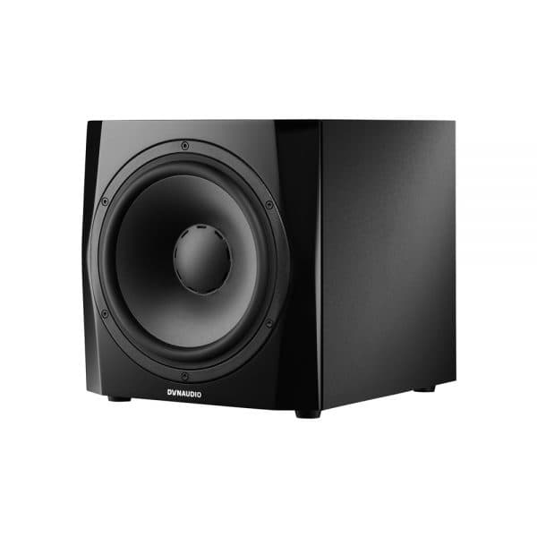 Dynaudio 9S Front Right Angle