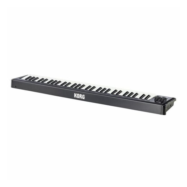 KORG microKEY Air-61 Angle Back