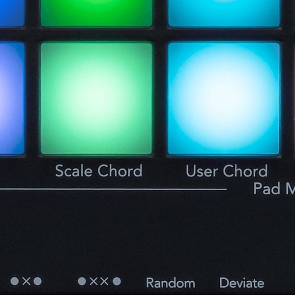 Novation Launchkey 61 MK3 Chord