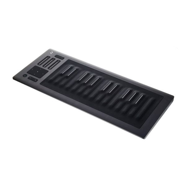 Roli Seaboard Rise 25 Angle