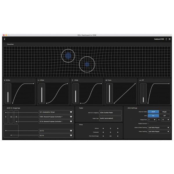 Roli Seaboard Rise 25 Editor