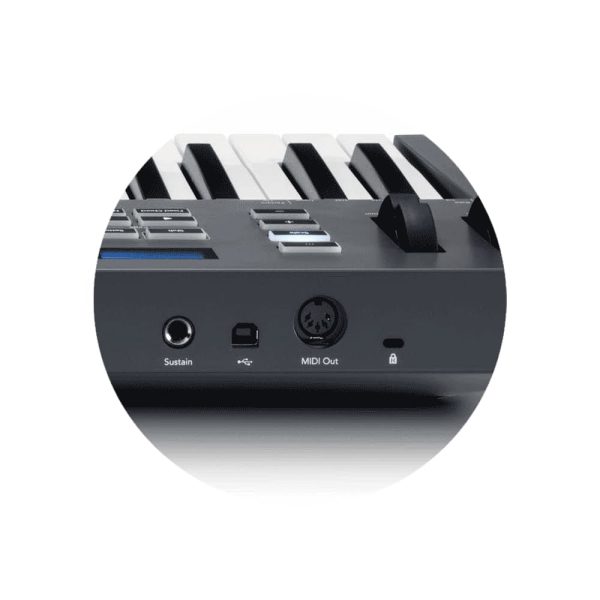 Novation FLkey 37 Detail Back