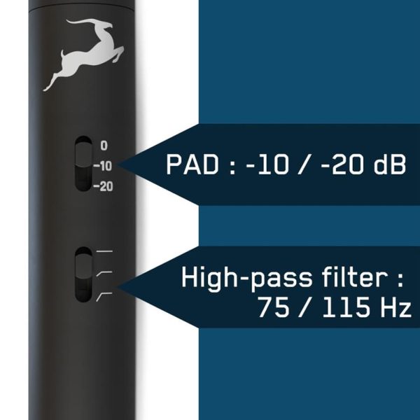 Antelope Audio Edge Note Filter