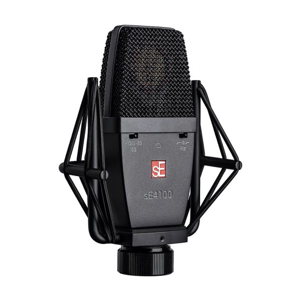 sE-Electronics 4100 Angle
