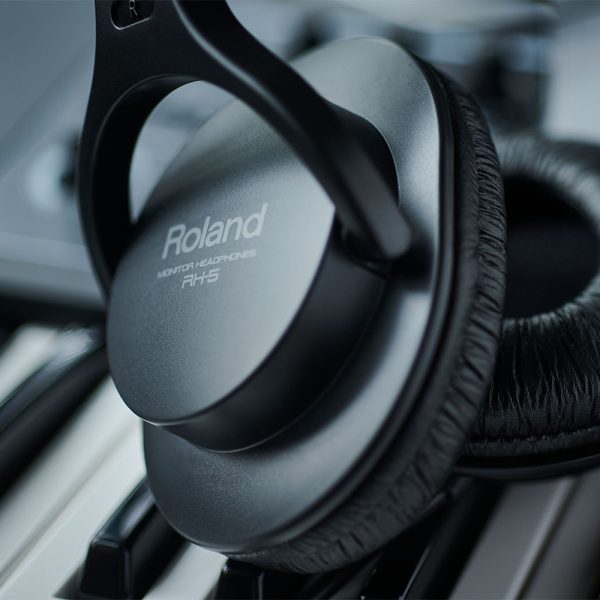 Roland RH-5 Detail
