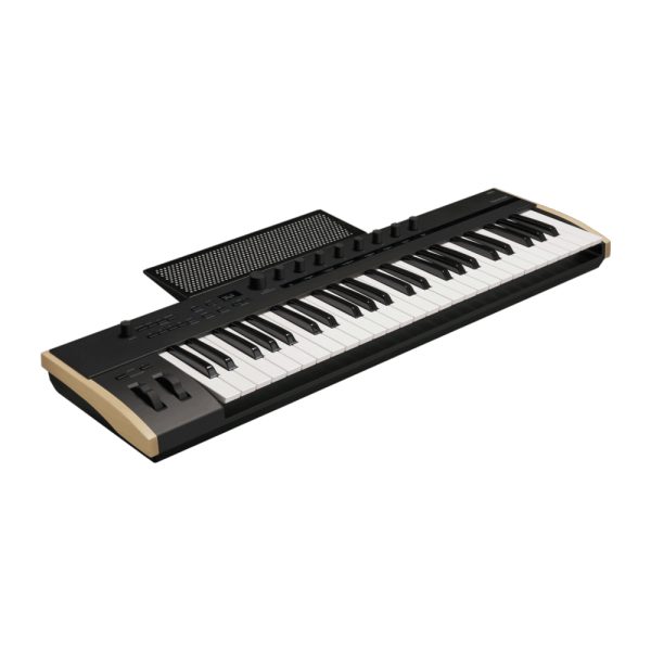 KORG Keystage 49 Angle