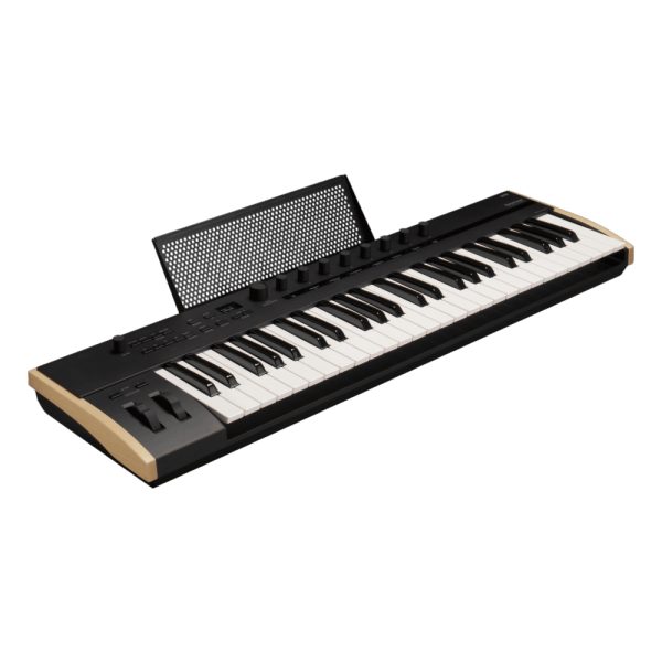 KORG Keystage 49 Per