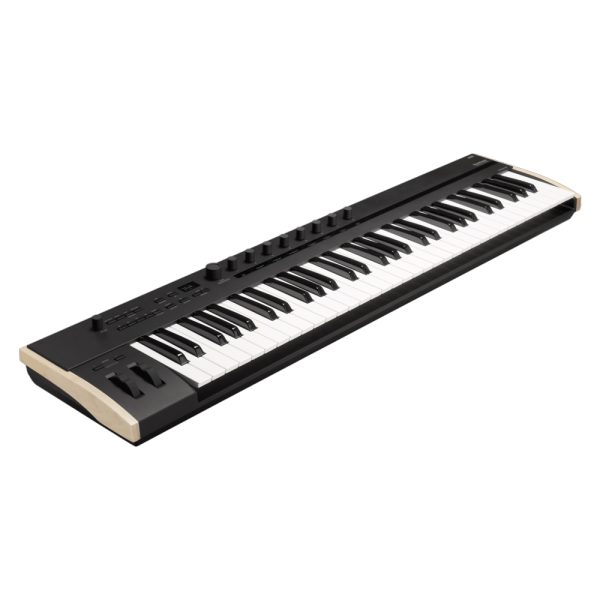 KORG Keystage 61 Angle