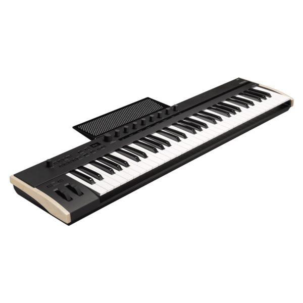 KORG Keystage 61 Per