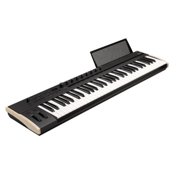 KORG Keystage 61 Side