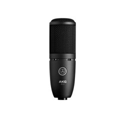 AKG P120