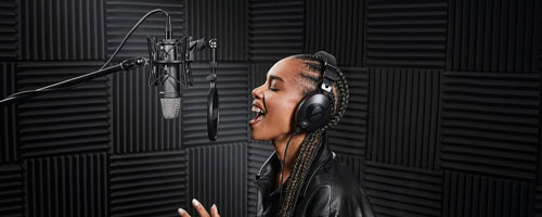 Vocal-Microphone