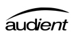 آدینت | Audient