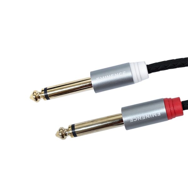 Eminence-2XTS-Connection Eminence 2XTS Connection